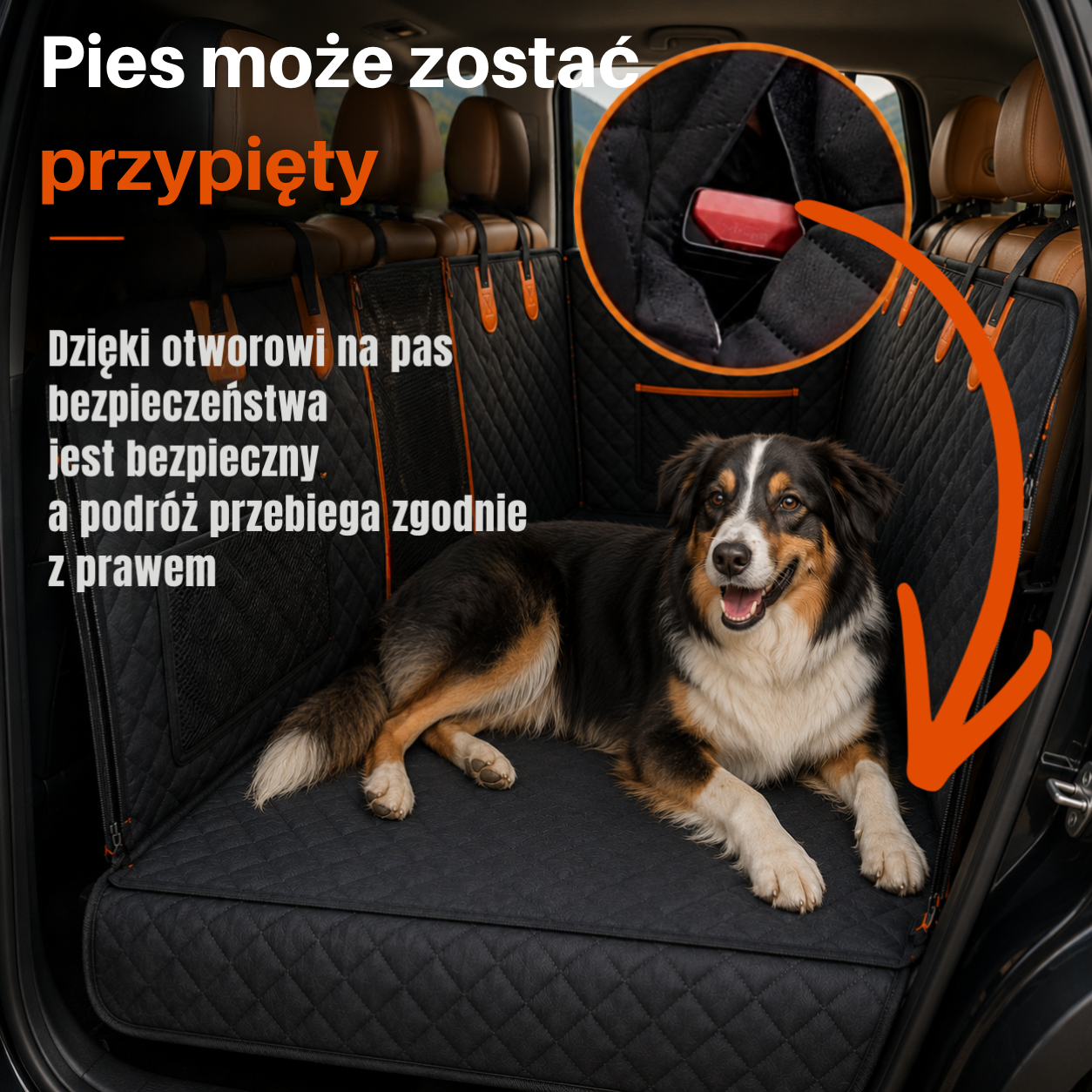 Przypnij psa bez odsłaniania kanapy!