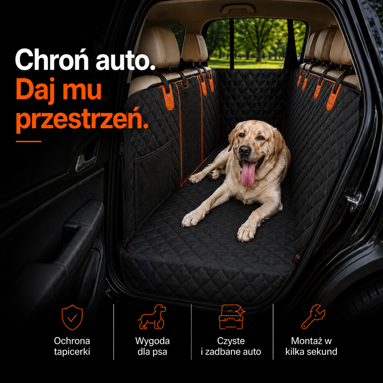 Daj psu więcej miejsca na trasie! Usztywnienie robi wielką różnice!